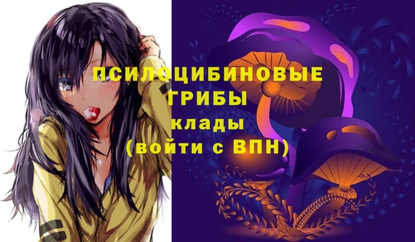 spice Арсеньев