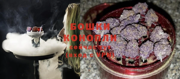 ПСИЛОЦИБИНОВЫЕ ГРИБЫ Армянск