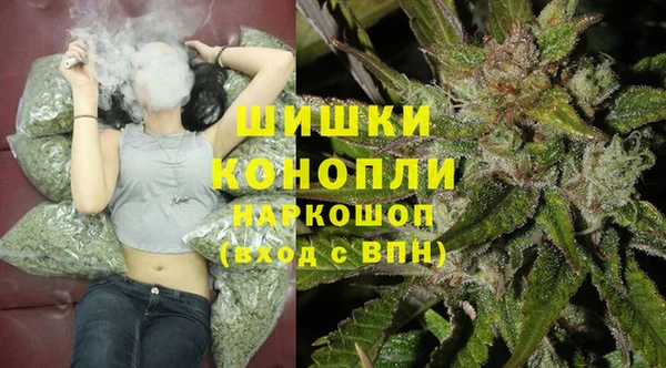 spice Арсеньев