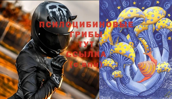 ПСИЛОЦИБИНОВЫЕ ГРИБЫ Армянск