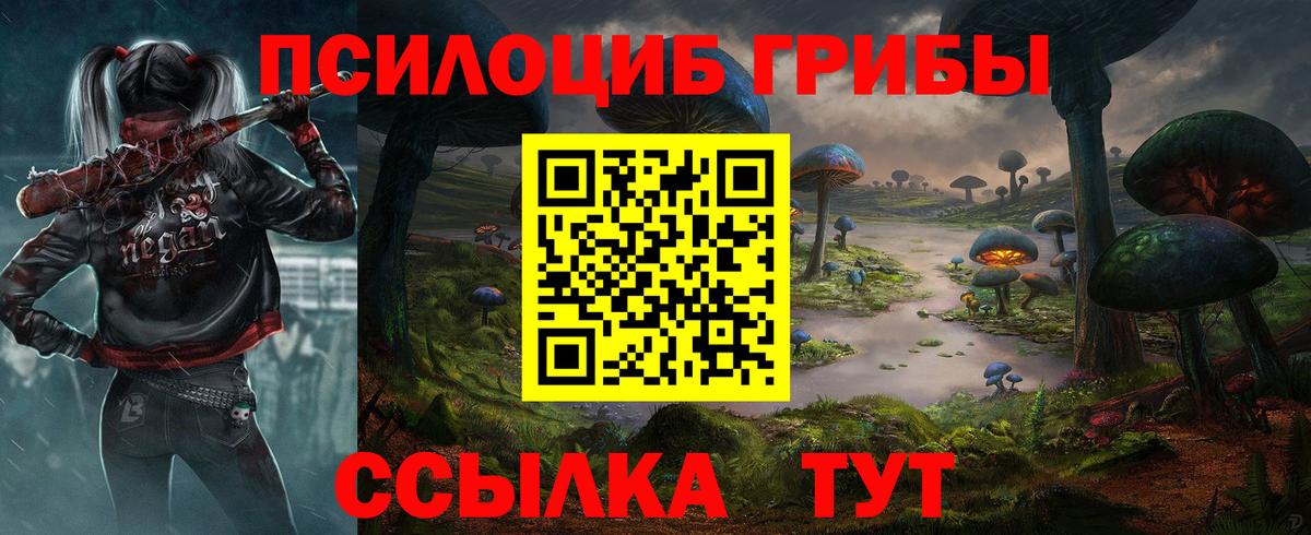 Кирово-Чепецк  Псилоцибиновые грибы прущие грибы  Галлюциногенные грибы Psilocybe  Вход с VPN 